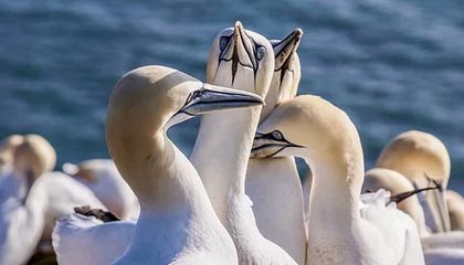 51爆料没人细说的地方在这：这条大事件线背后还有一层，最离谱的是后半段