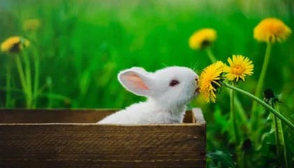 被忽略的细节来了：91大事件每日大赛的震撼之力