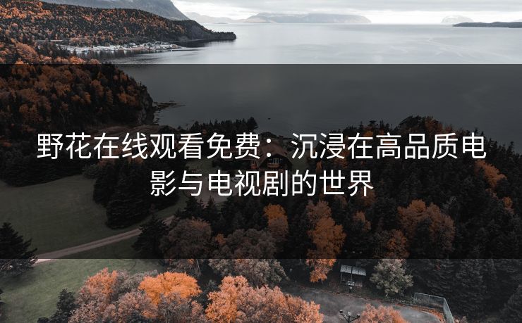 野花在线观看免费：沉浸在高品质电影与电视剧的世界