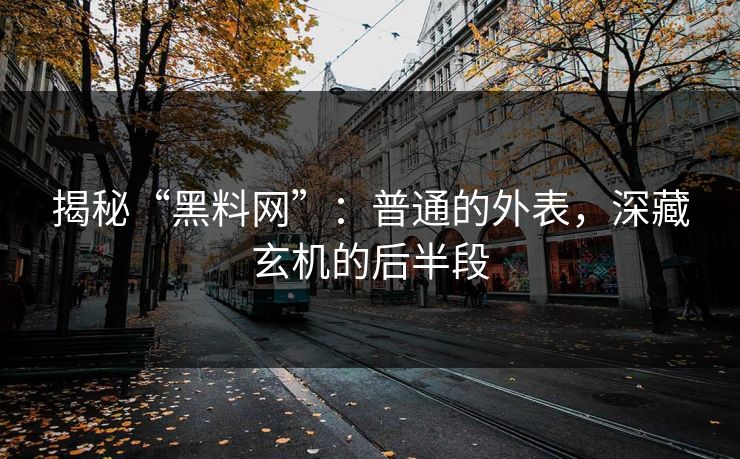 揭秘“黑料网”：普通的外表，深藏玄机的后半段
